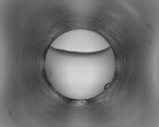 X0000111640474200907171042