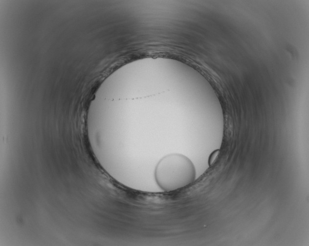 X0000111640475200907171042
