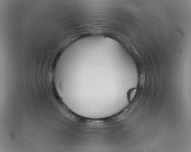 X0000111640476200907171042