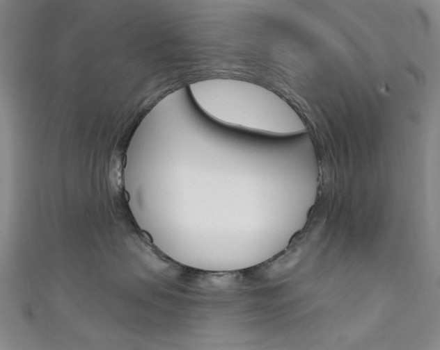 X0000111640479200907171042
