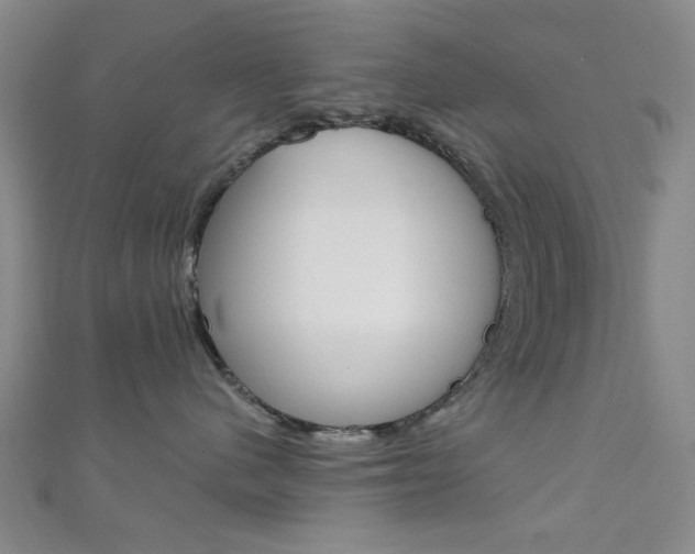 X0000111640480200907171042