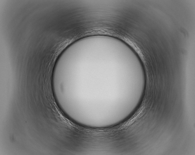 X0000111640481200907171041
