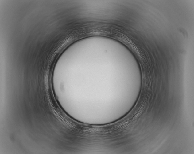 X0000111640482200907171041