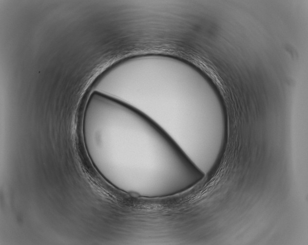 X0000111640483200907171041