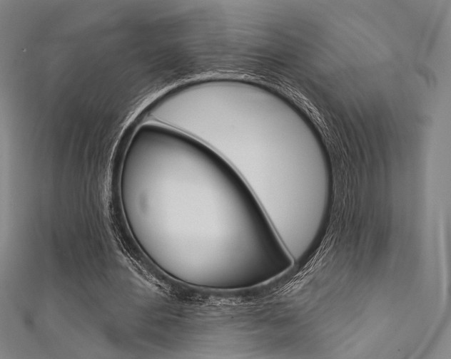 X0000111640484200907171041
