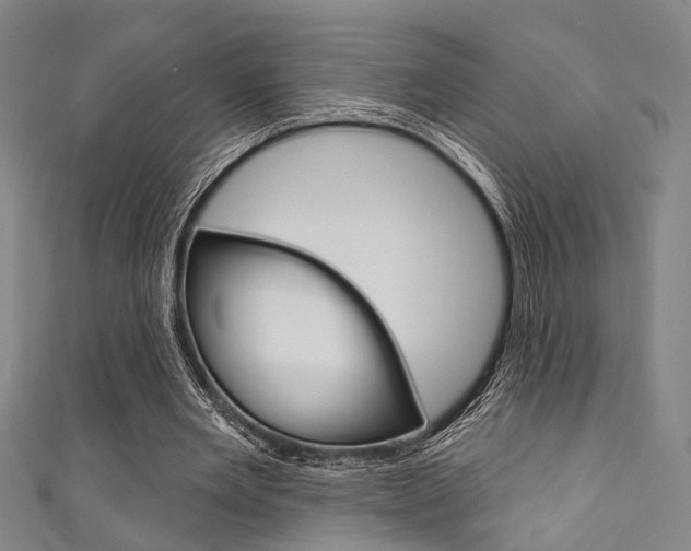 X0000111640485200907171041