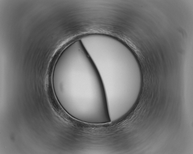 X0000111640488200907171041