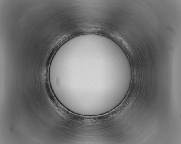 X0000111640490200907171041
