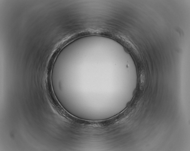 X0000111640492200907171041