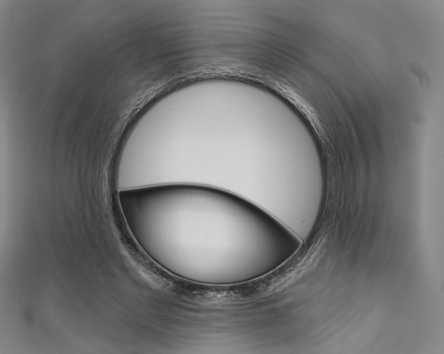 X0000111640493200907171041