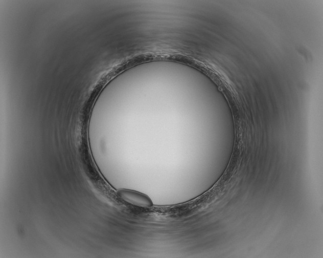 X0000111640496200907171041