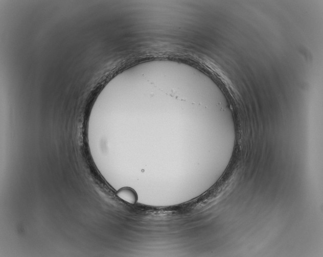 X0000111640497200907171041