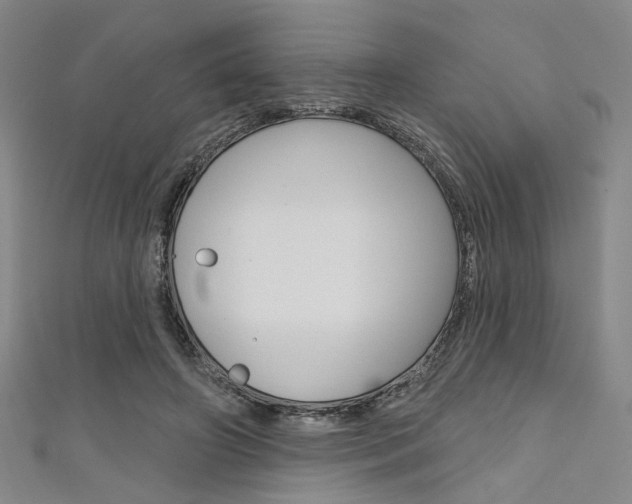 X0000111640498200907171041