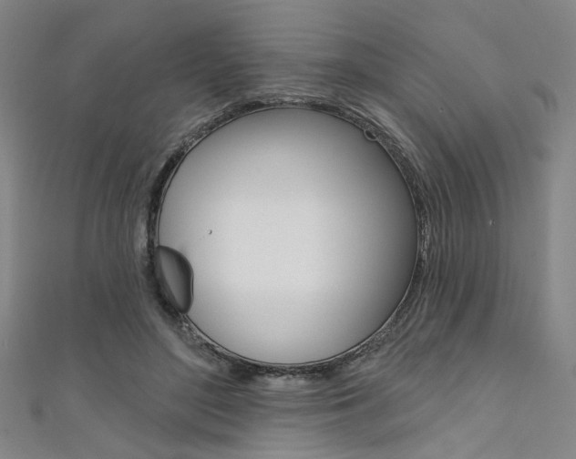 X0000111640500200907171041