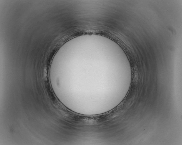 X0000111640502200907171041