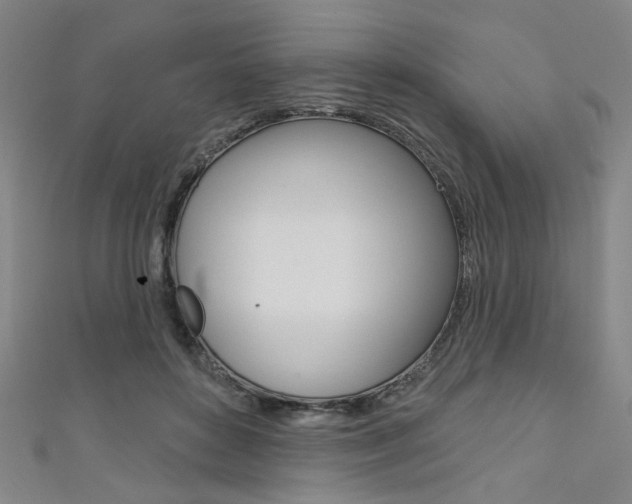 X0000111640504200907171041
