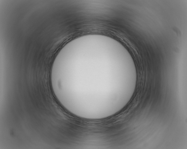 X0000111640505200907171041
