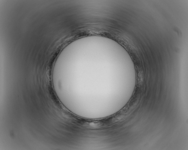 X0000111640506200907171041