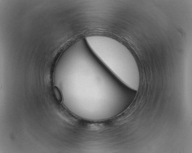 X0000111640508200907171041