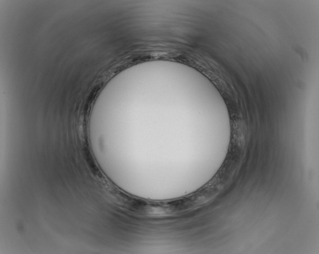 X0000111640510200907171041