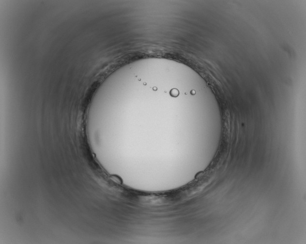 X0000111640511200907171041