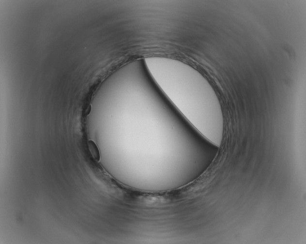 X0000111640512200907171041