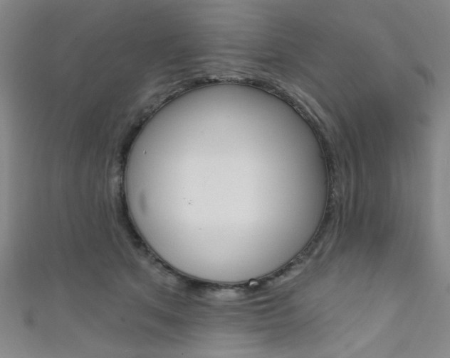 X0000111640513200907171041