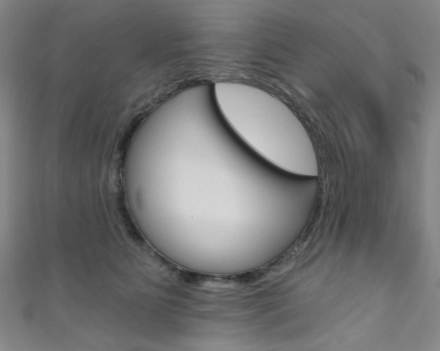 X0000111640515200907171041