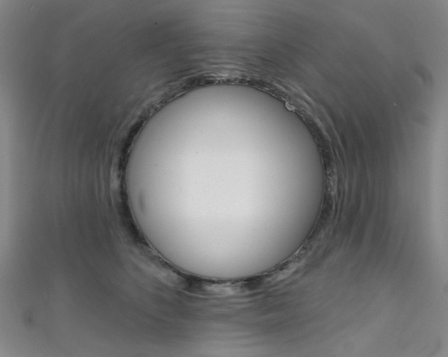 X0000111640516200907171041