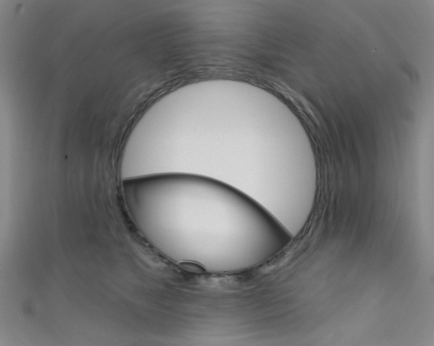X0000111640517200907171041