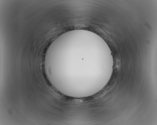 X0000111640519200907171041