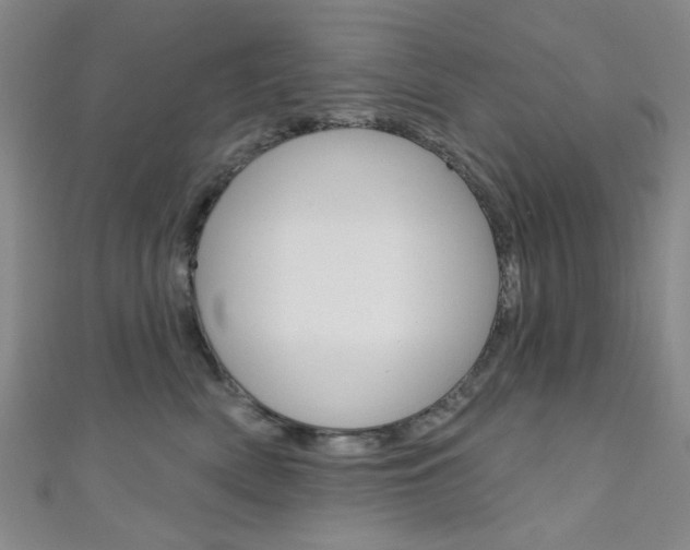 X0000111640522200907171041