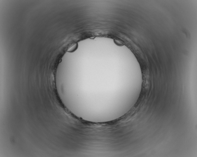 X0000111640523200907171040