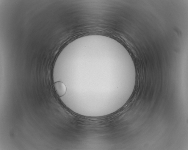X0000111640524200907171040