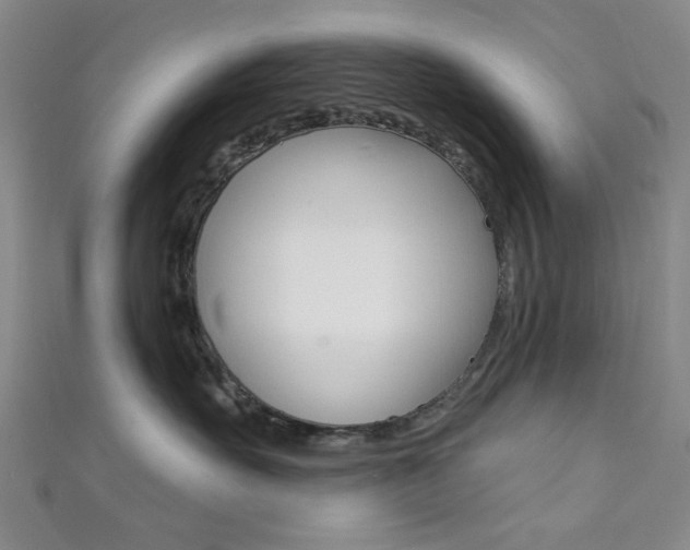 X0000111640527200907171040