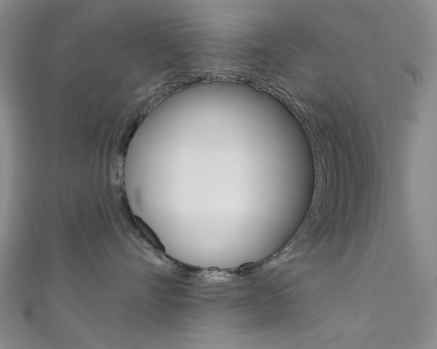 X0000111640528200907171040