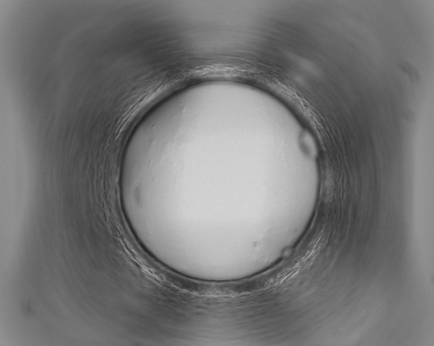 X0000111640529200907171040