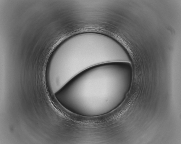 X0000111640530200907171040
