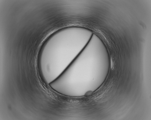 X0000111640531200907171040