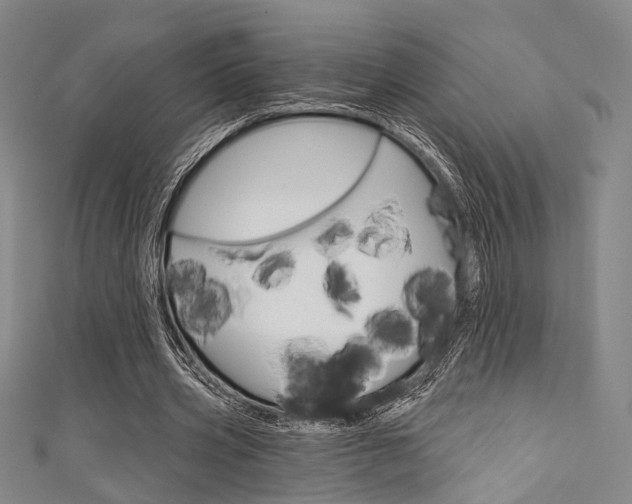 X0000111640533200907171040