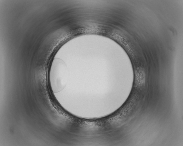 X0000111640534200907171040