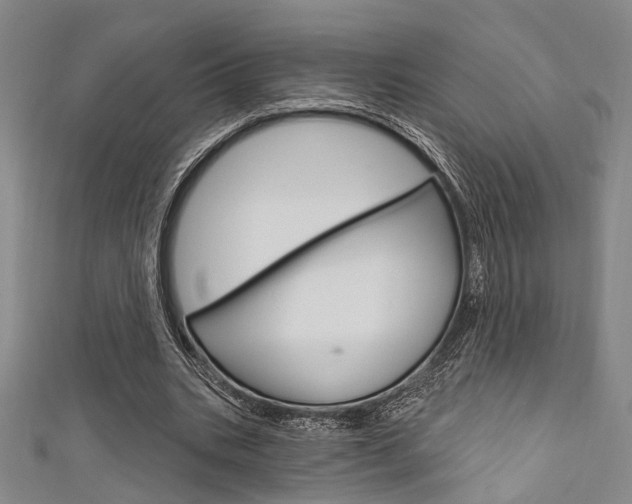 X0000111640535200907171040
