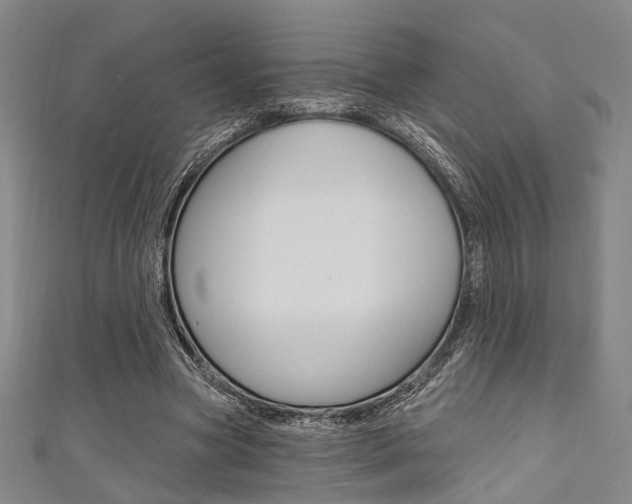 X0000111640537200907171040