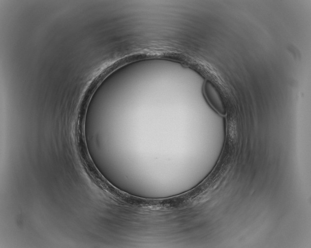 X0000111640540200907171040
