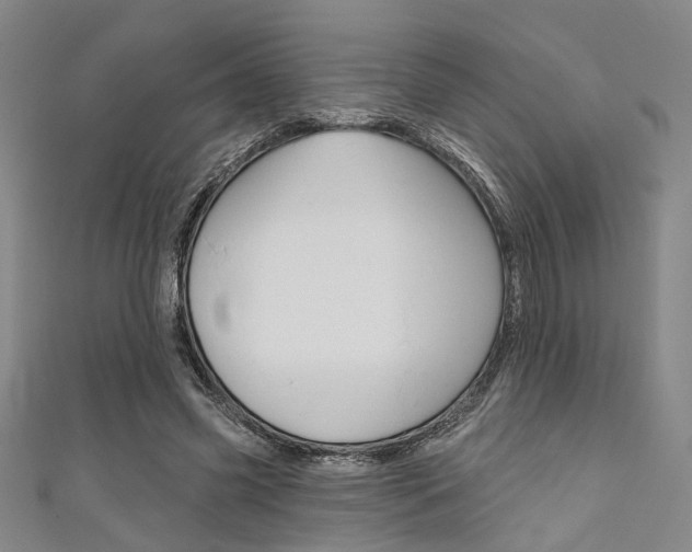 X0000111640541200907171040