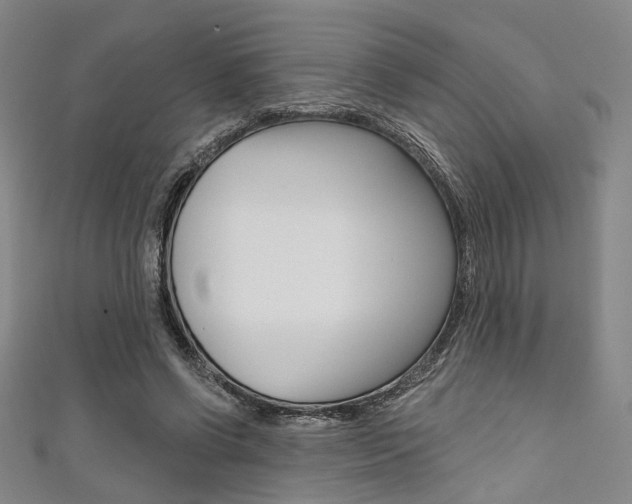 X0000111640542200907171040