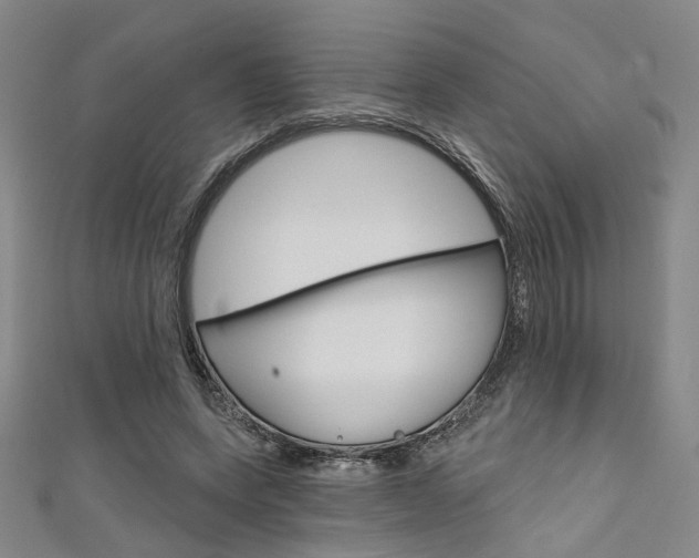 X0000111640543200907171040
