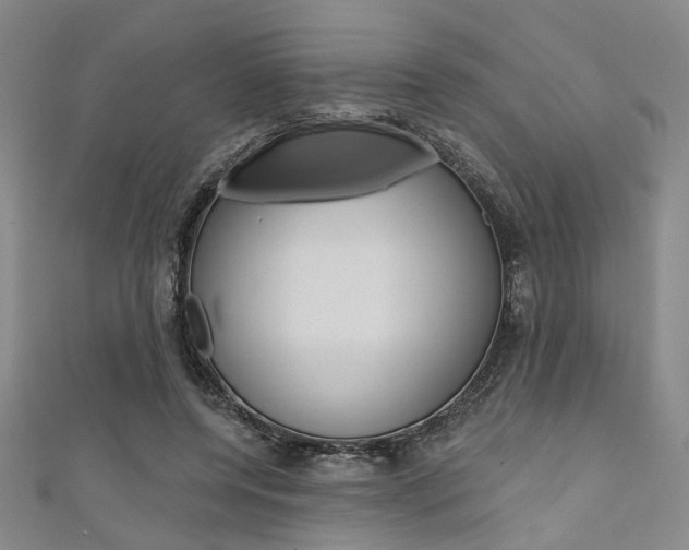 X0000111640544200907171040