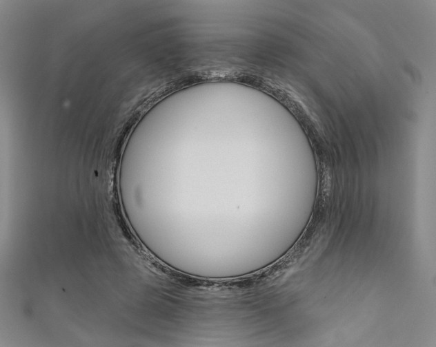 X0000111640545200907171040