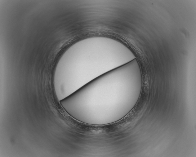 X0000111640547200907171040